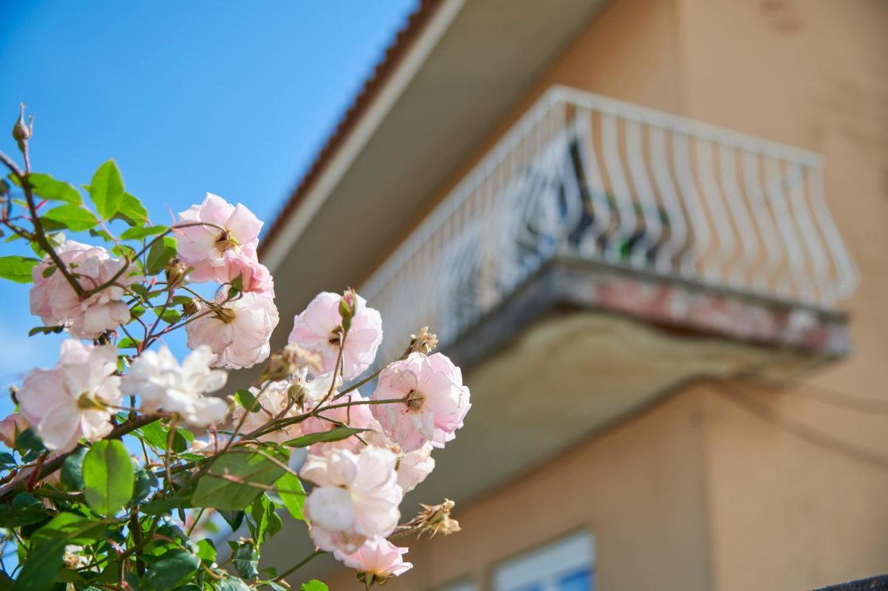 Bright Apartment With Garden In カスカイス エクステリア 写真